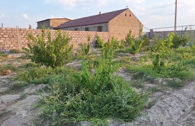 In Arevashat village, near Zvartnots airport, for sale, 1000 sq/m, land